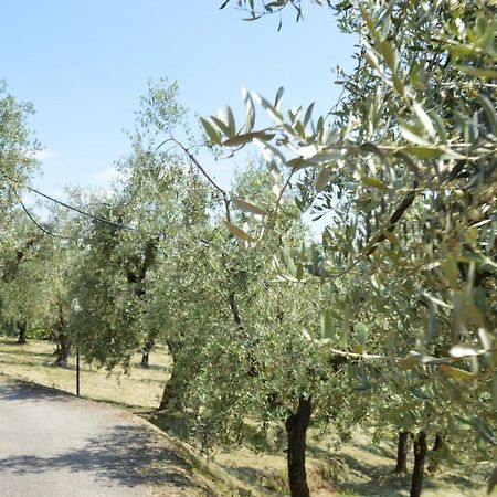 Il Podere Di Tacito Bed and Breakfast Pieve a Nievole Buitenkant foto