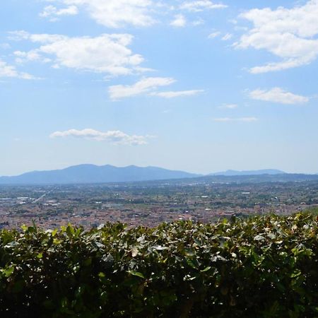 Il Podere Di Tacito Bed and Breakfast Pieve a Nievole Buitenkant foto