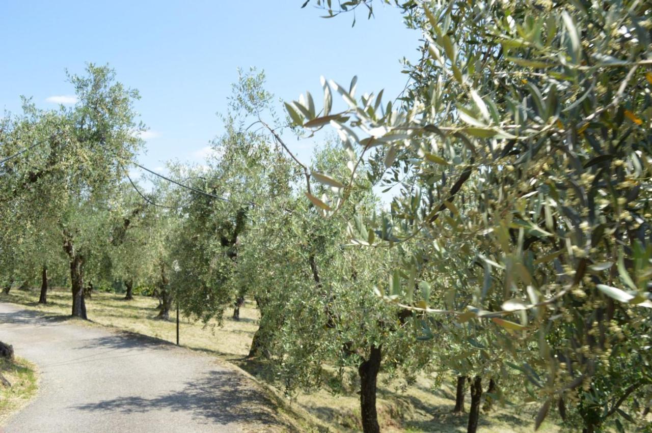 Il Podere Di Tacito Bed and Breakfast Pieve a Nievole Buitenkant foto